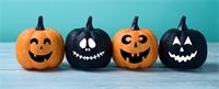 A spooktacular month ahead! A spooktacular month ahead!
