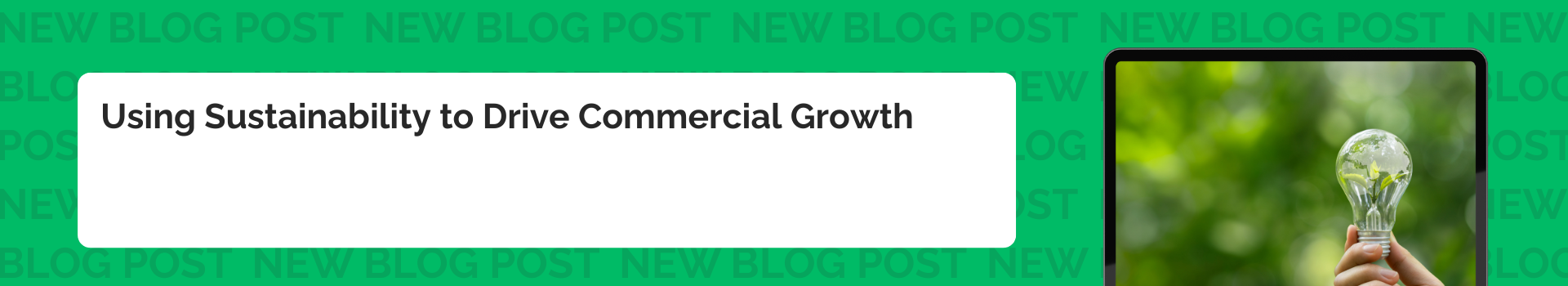 Using Sustainability to Drive Commercial Growth: What We Took from the Amazon Innovation Accelerator 