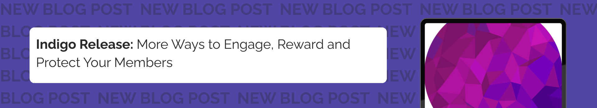 Indigo Release:  More Ways to Engage, Reward and Protect Your Members